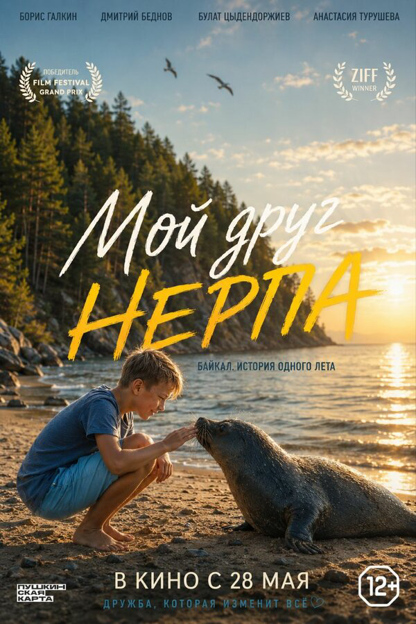 Мой друг нерпа - постер